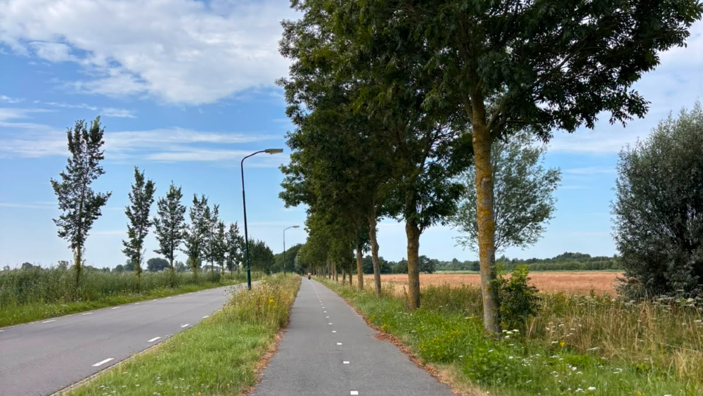 's Gravelandsevaartweg met rechts natuurgebied de Oostelijke Vechtplassen